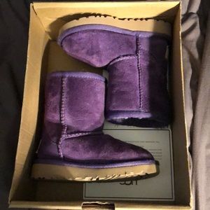 Purple Uggs